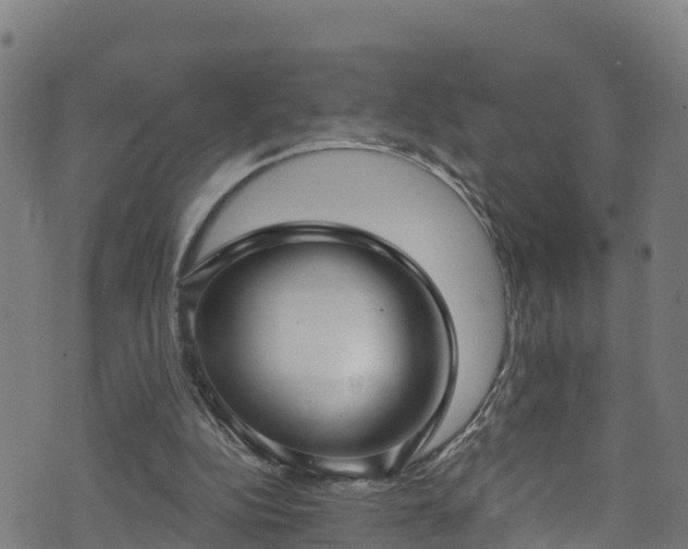 X0000070880152200606231351