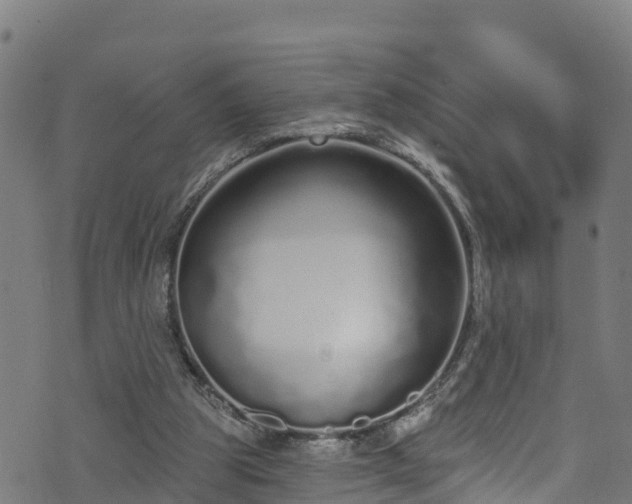 X0000070880153200606231351