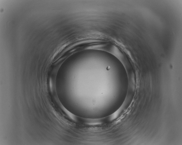 X0000070880154200606231351