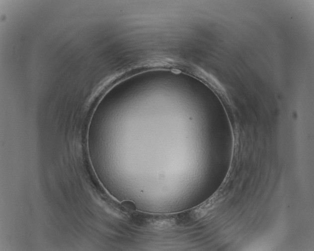 X0000070880155200606231351