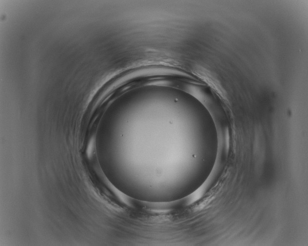 X0000070880156200606231351