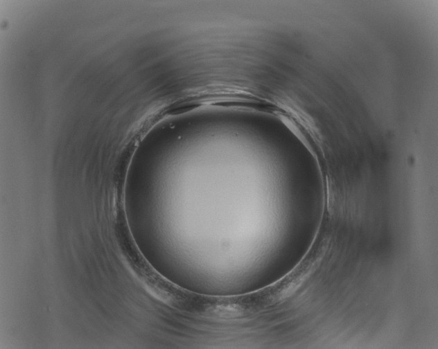 X0000070880157200606231351