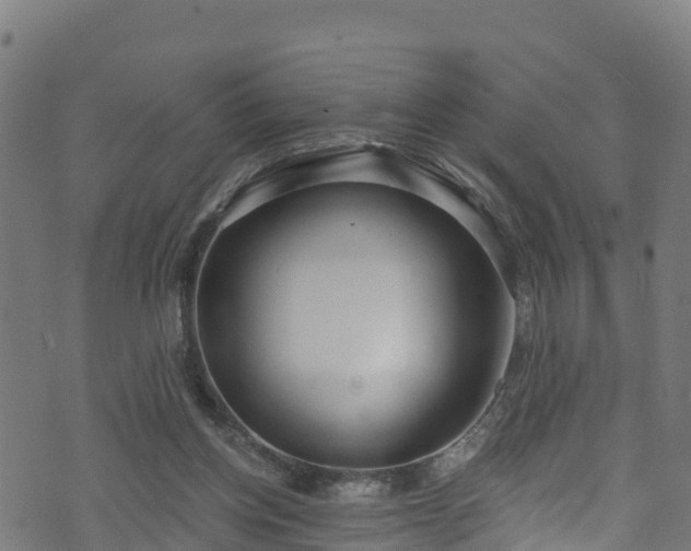 X0000070880158200606231351