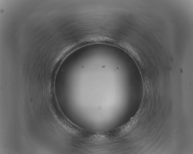 X0000070880159200606231351