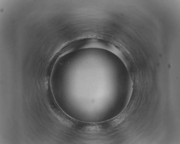 X0000070880160200606231351