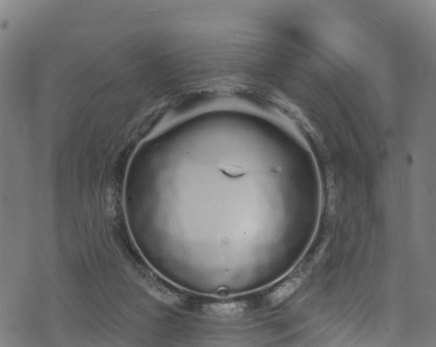 X0000070880161200606231351