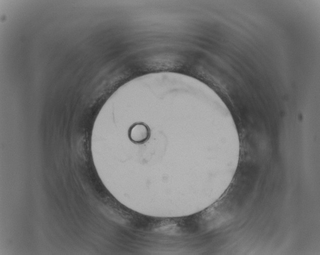 X0000070880162200606231351