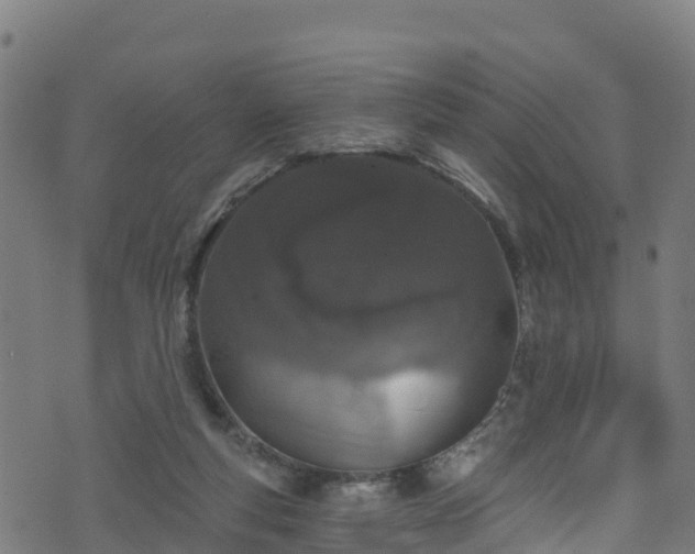 X0000070880163200606231351