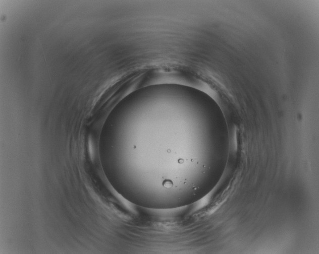 X0000070880164200606231351