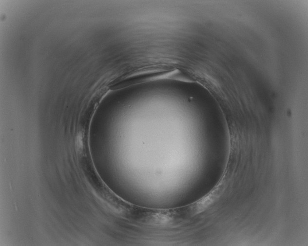 X0000070880166200606231351