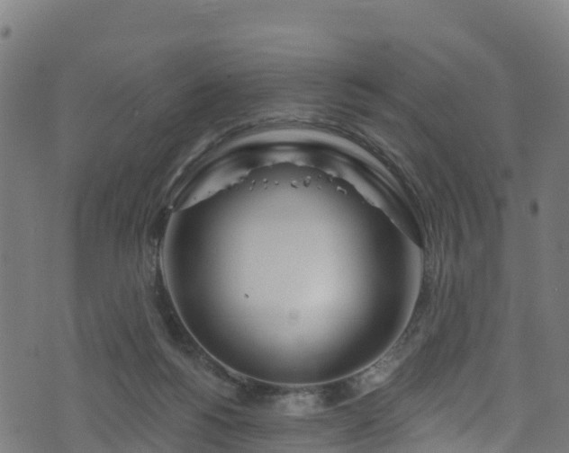 X0000070880168200606231352