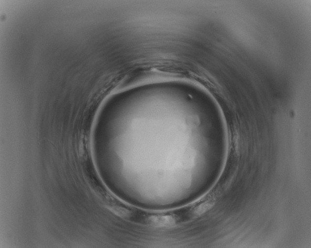 X0000070880169200606231352