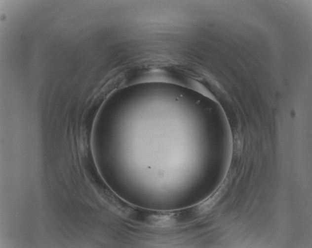 X0000070880170200606231352