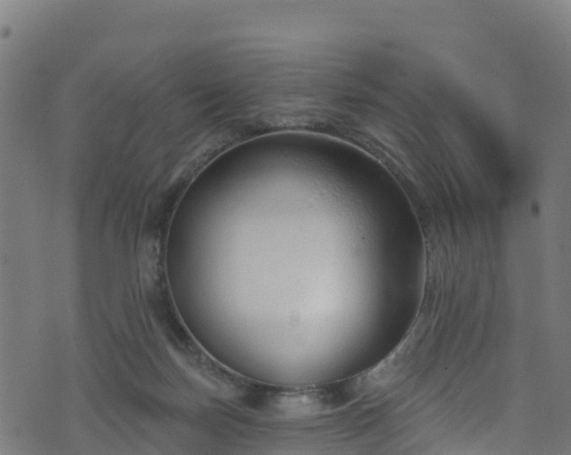 X0000070880171200606231352