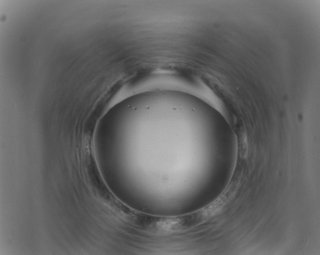 X0000070880172200606231352