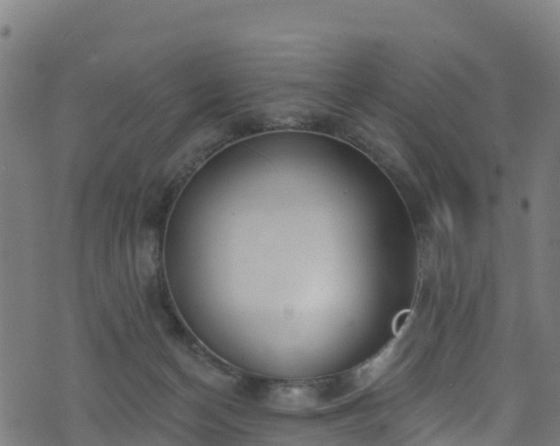 X0000070880174200606231352