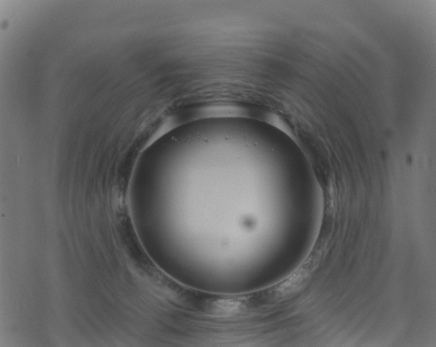 X0000070880176200606231352