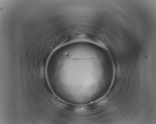 X0000070880177200606231352