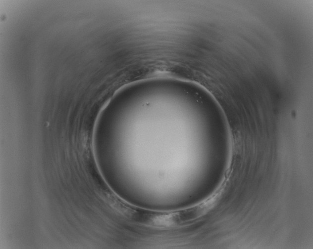 X0000070880178200606231352