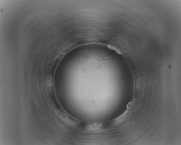 X0000070880179200606231352