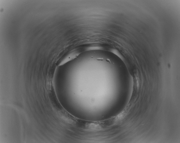 X0000070880180200606231352