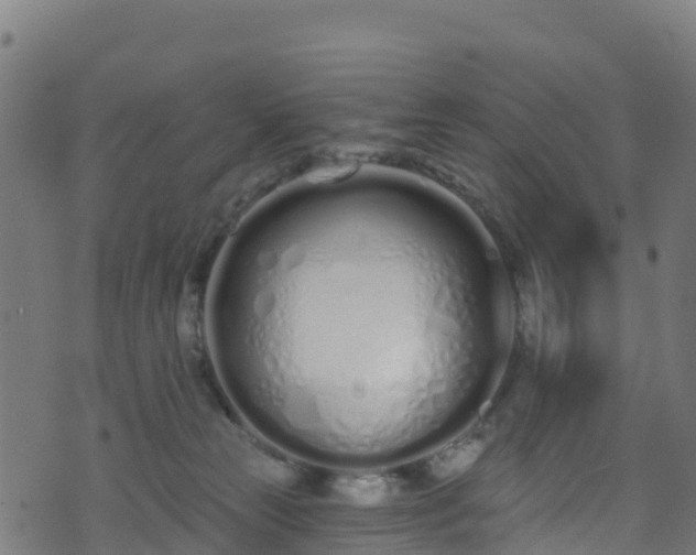 X0000070880181200606231352