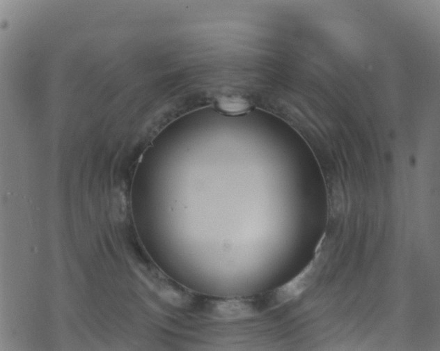 X0000070880183200606231352