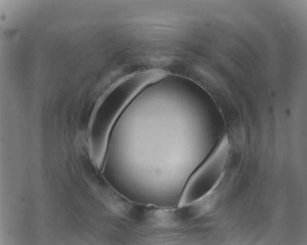 X0000070880184200606231352