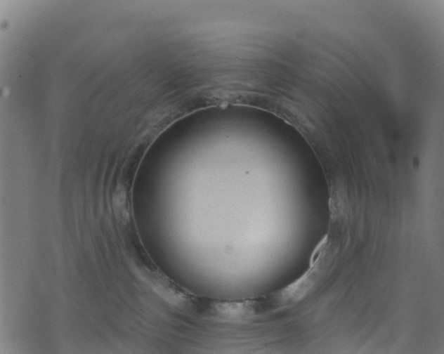 X0000070880187200606231352