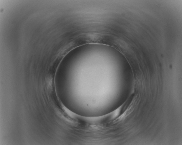 X0000070880188200606231352