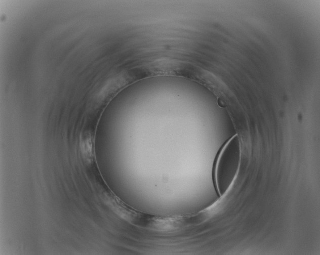 X0000070880190200606231352