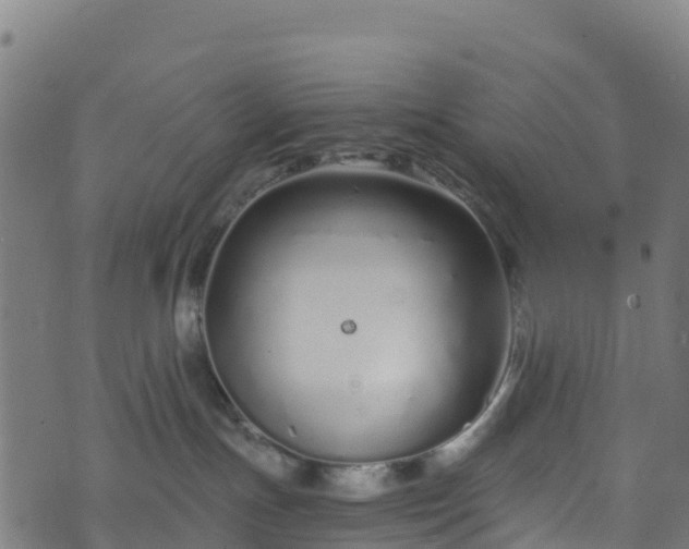 X0000070880191200606231352