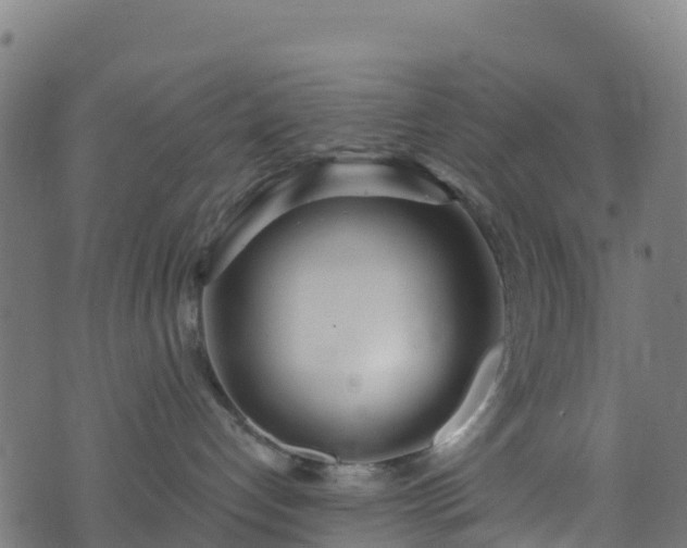 X0000070880192200606231352