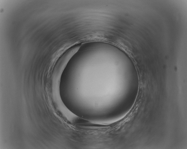 X0000070880193200606231351