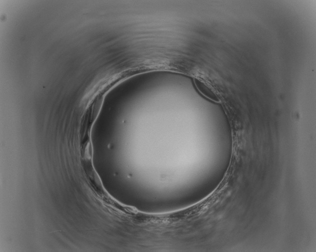 X0000070880194200606231351