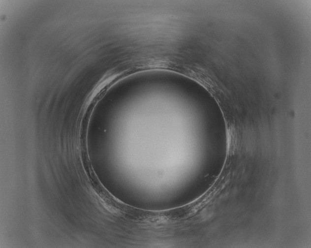 X0000070880195200606231351