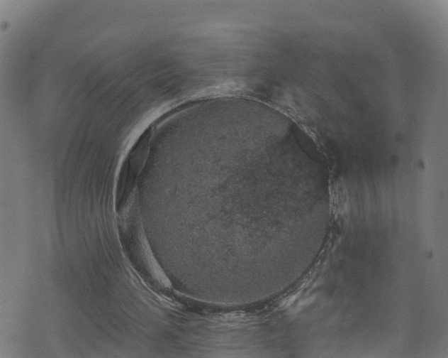 X0000070880196200606231351