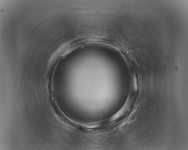 X0000070880197200606231351