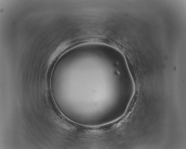 X0000070880198200606231351