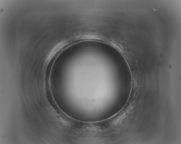 X0000070880199200606231351