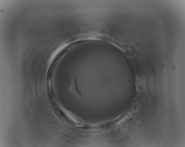 X0000070880200200606231351