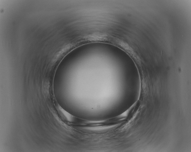 X0000070880201200606231351