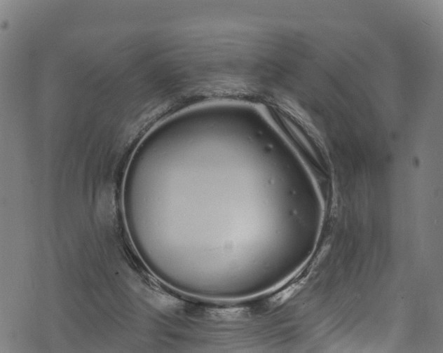 X0000070880202200606231351