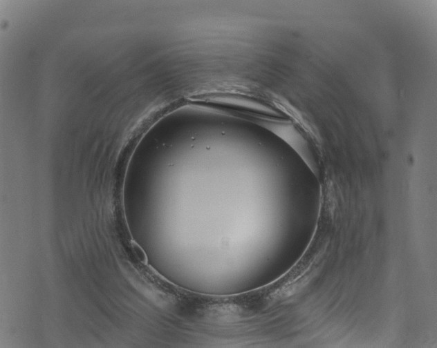 X0000070880203200606231351