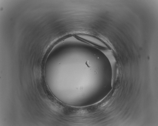 X0000070880204200606231351