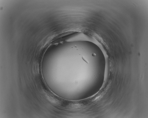 X0000070880205200606231351