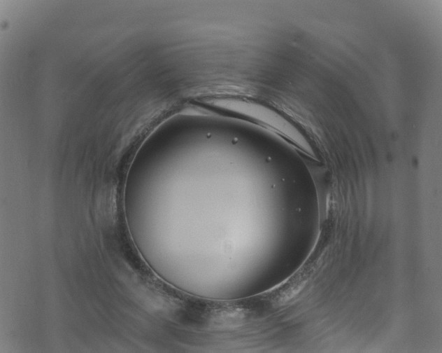 X0000070880206200606231351