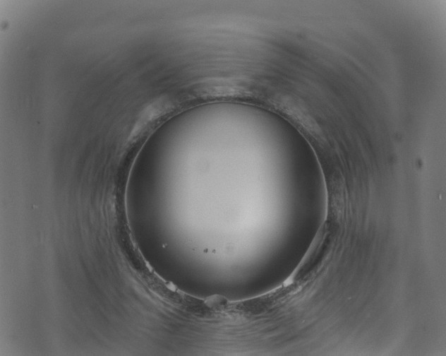 X0000070880207200606231351