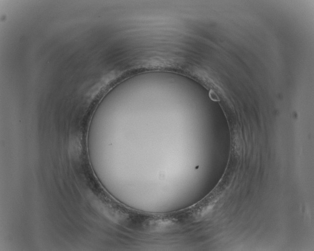 X0000070880208200606231351