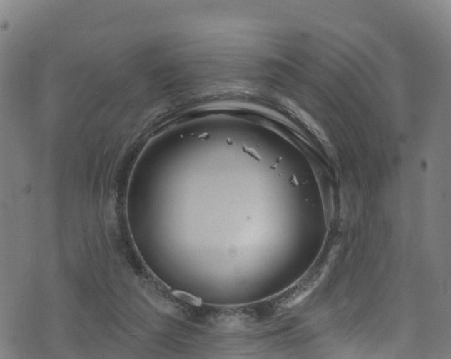 X0000070880209200606231351